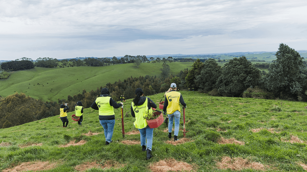 Greenfleet tree planting event