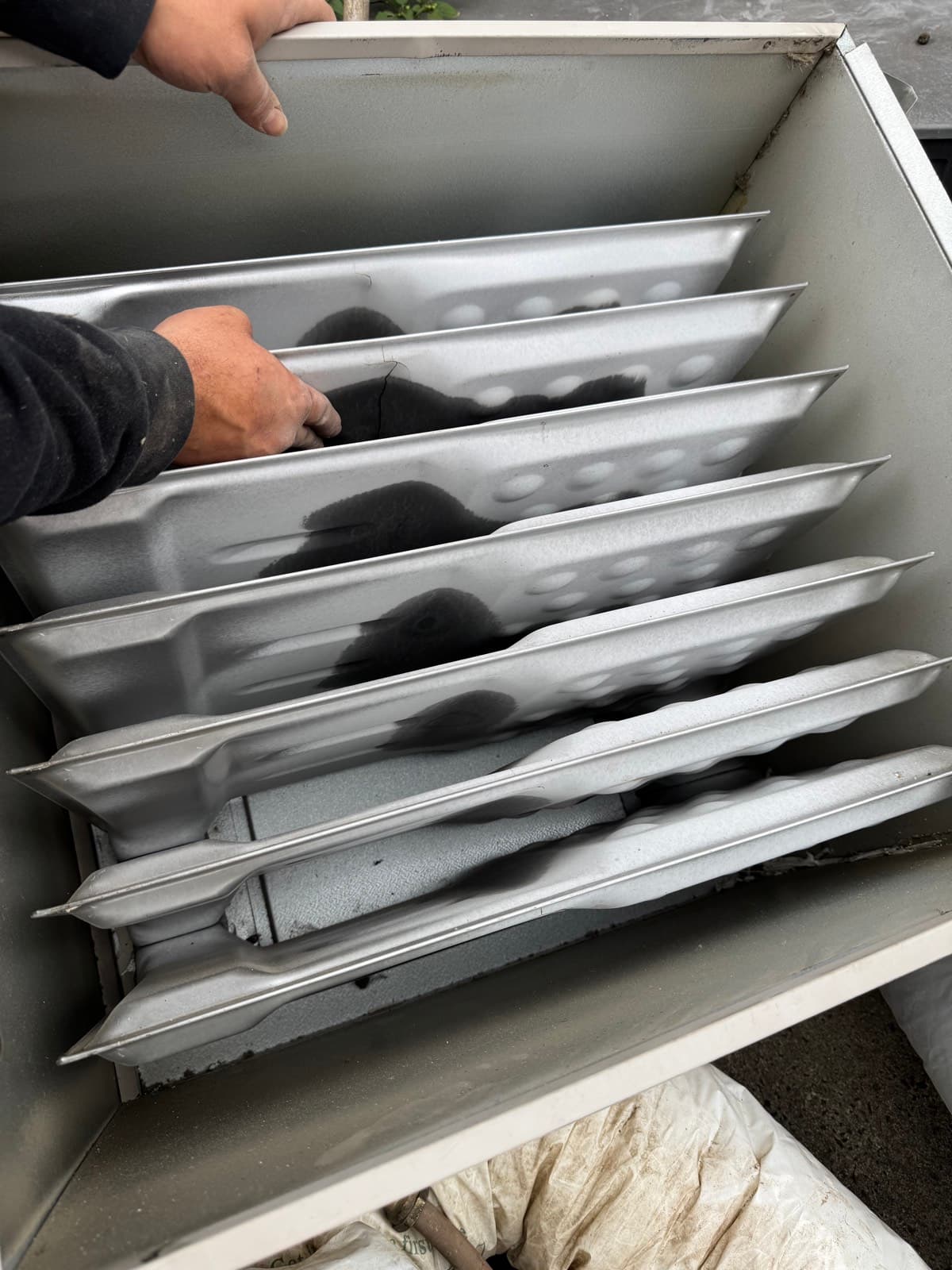 Full view of gas heater heat exchanger showing extent of carbon deposits and cracking