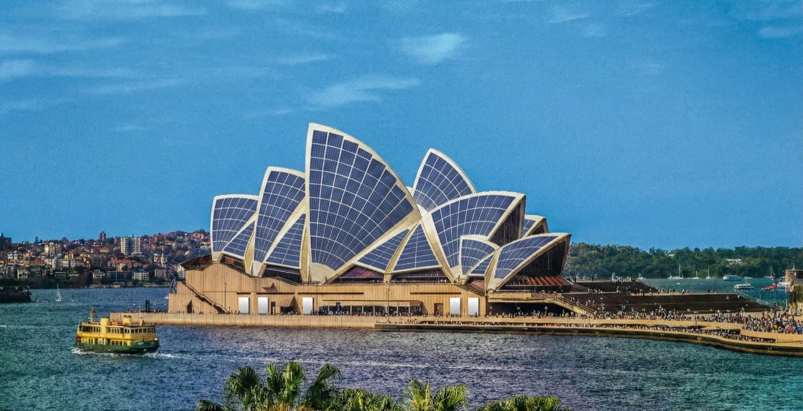 Aerial view of residential neighbourhood with solar panels